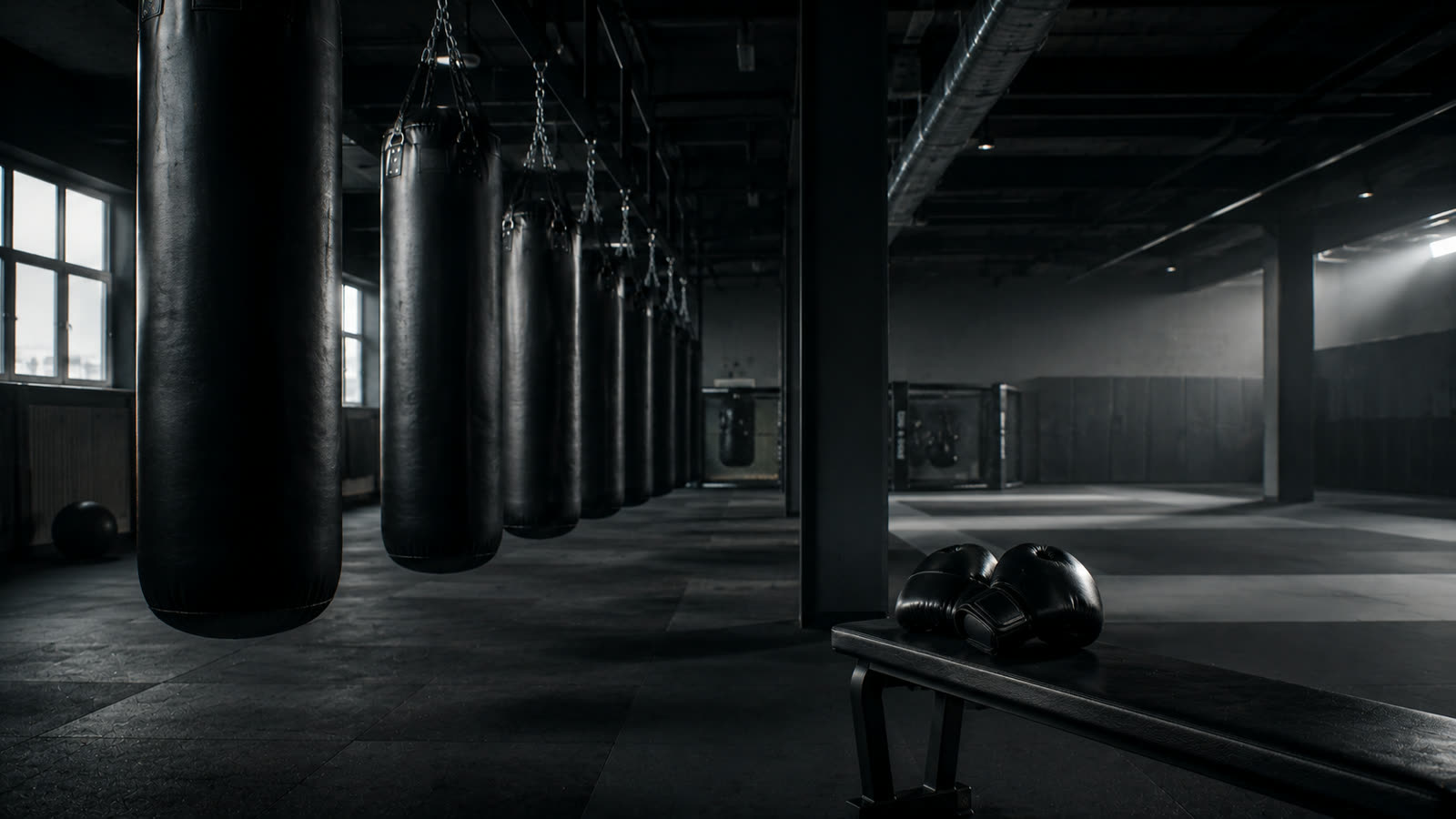 Desportos de combate